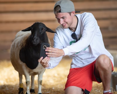 Meet Rescued Farm Animals on a Private Tour in Watkins Glen