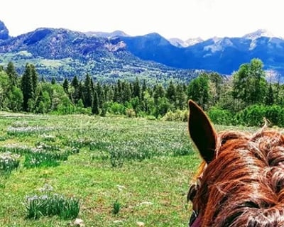 Ice Caves Horseback Ride in San Juan National Forest