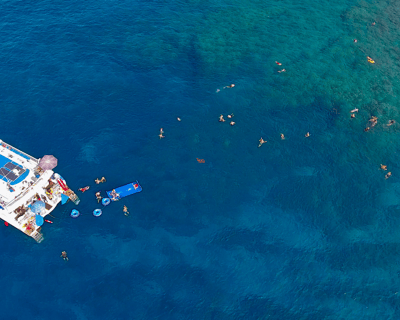 Afternoon Snorkel Tour in Kailua-Kona