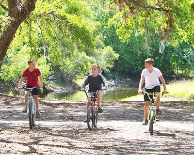 North Palmdale Bike Rental