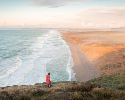 Hike Muir Woods & Point Reyes Full-Day Tour