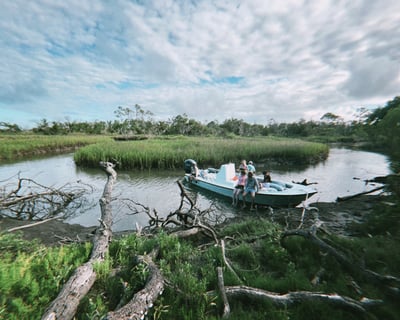 Little Tybee Island Wildlife Safari