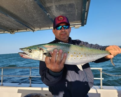 11.5-Hour Gulf Stream Fishing Trip in North Myrtle Beach