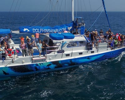 Ash Scattering Private Charter in Dana Point