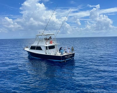 10-Hour Offshore Fishing Charter in Clearwater Beach