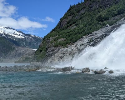 Hike Nugget Falls & Whale Watching Tour in Juneau