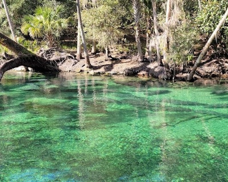 Blue Spring Park Tour in French