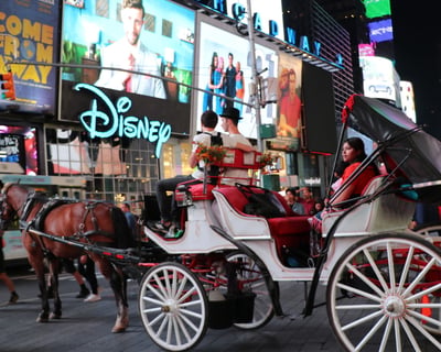 50-Minute Central Park Horse Carriage Ride to Times Square