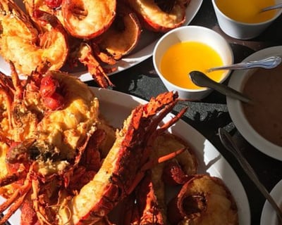 Baja Lobster & Art Tour From San Diego