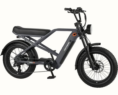 Santa Monica Fat Tire E-Bike Rental