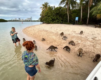 Private Sandpur Raccoon Island Tour