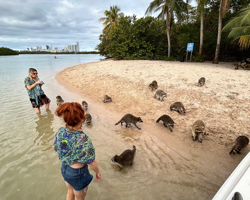 Private Sandpur Raccoon Island Boat Tour from Miami Beach