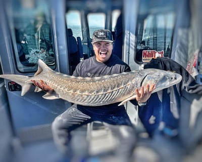 White Sturgeon Fishing Trip in Los Banos