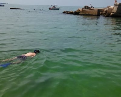 Private 4.5-Hour Snorkeling Charter to Egmont Key