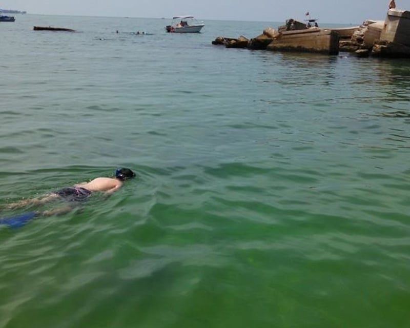Private 4.5-Hour Snorkeling Charter to Egmont Key