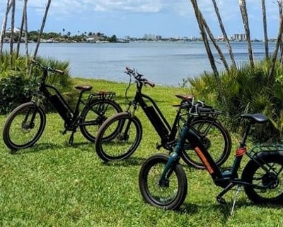 8-Hour E-Bike Rental in Pinellas County