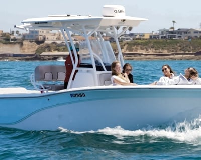 San Diego 3.5-Hour Whale & Dolphin Watching Cruise