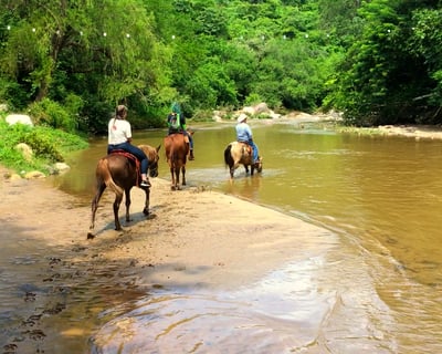 4-Hour Sierra Madre Horseback Ride