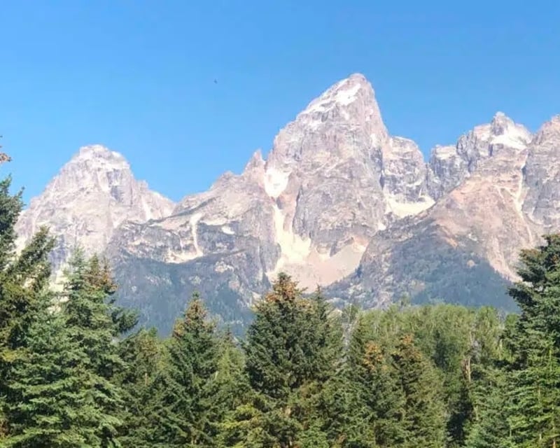 Private Yellowstone & Grand Teton Guided Tour