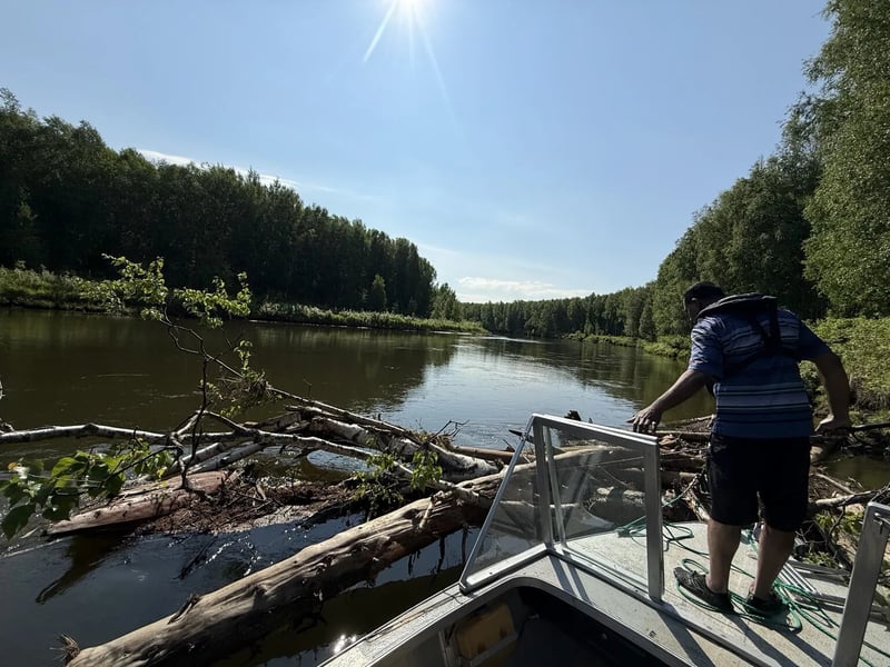 Gallery image 5