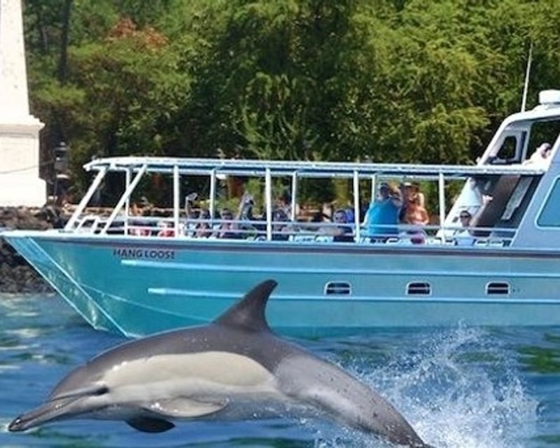 Captain Cook Monument Reef Snorkel Cruise