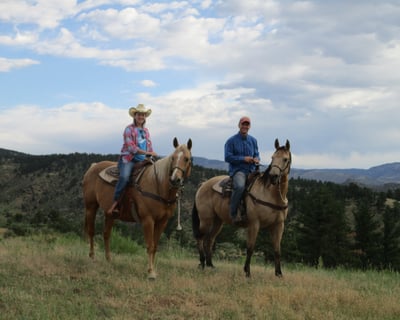 2-Hour Guided Horseback Trail Ride in Loveland