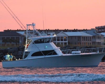 Destin 8-Hour Fishing Charter