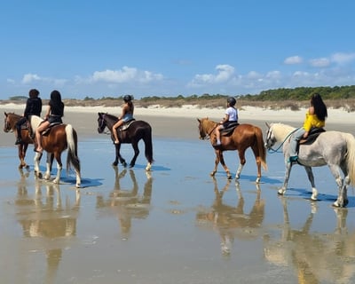Oceanfront Horseback Ride on Waites Island