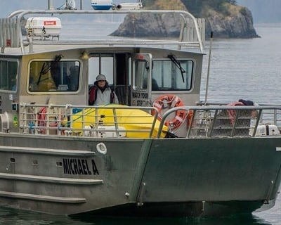 Seward Salmon Stream & Ghost Forest Water Taxi