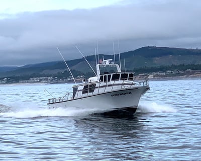 Explore the Oregon Coast & Whale Watching Day Tour