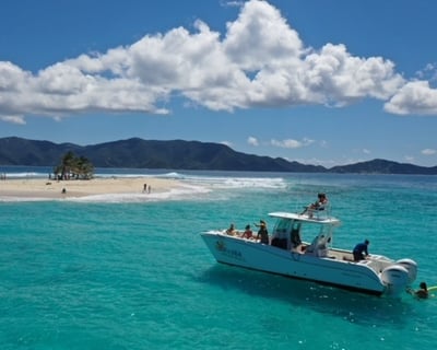 Full-Day White Bay Private Boat Charter