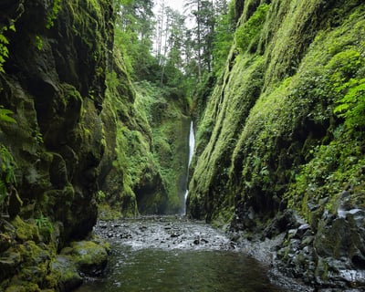 Private 3-Hour Columbia River Gorge Guided Tour