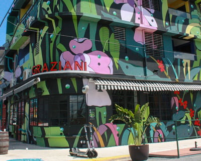 Santurce 3-Hour Art District Bar Tour