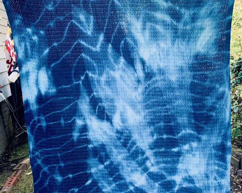 Natural Indigo Dyeing Workshop in Georgetown, SC