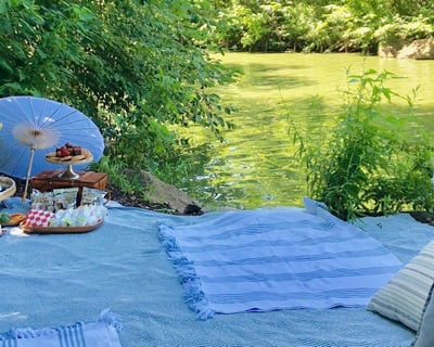 Set Up a 2-Hour Picnic for 10 in New York City