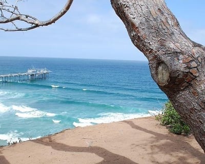 Coastal Running Tour in La Jolla