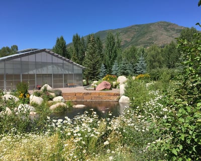 Explore Aspen Hidden Gems Walking Tour