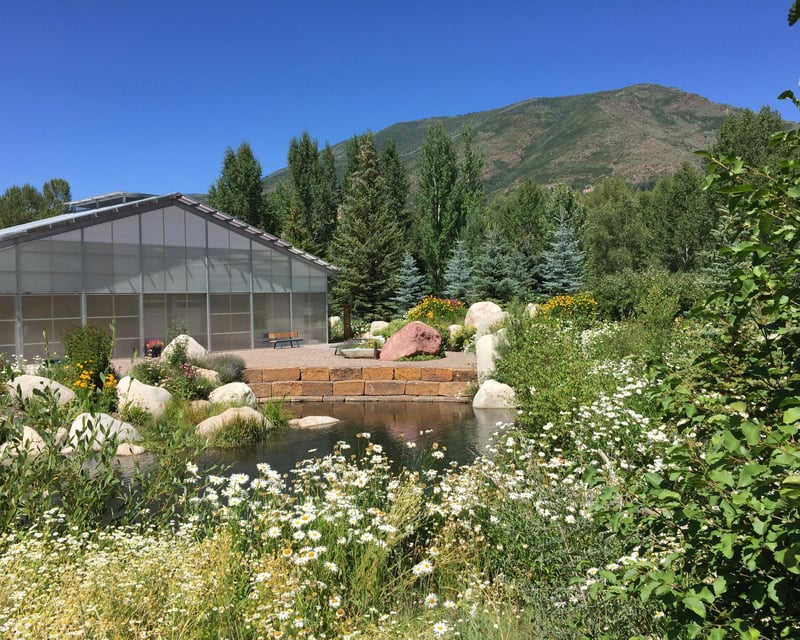 Explore Aspen Hidden Gems Walking Tour