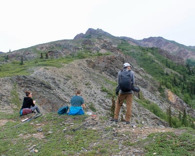 Take a Private Guided Hike Near Denali