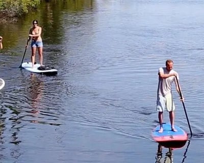 Guided Maritime Forest Paddleboard Tour in Kitty Hawk