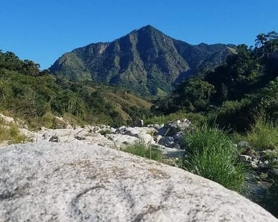 4-Hour Caonillas River Petroglyph Tour