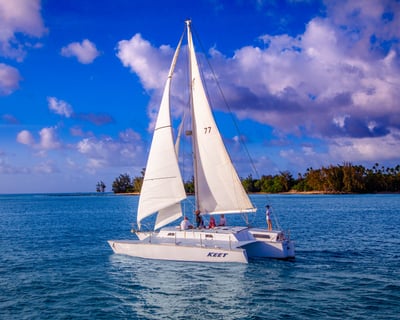 Dolphin Watching Cruise on Oahu's North Shore