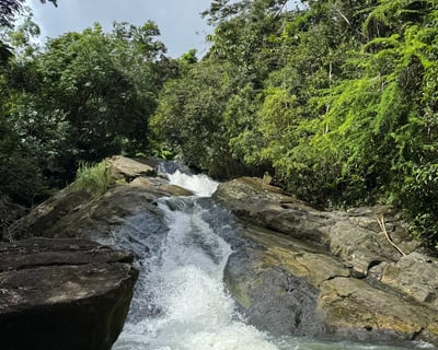 Rainforest River Slide Guided Tour in Fajardo