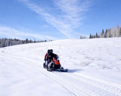 Afternoon Snowmobile Tour in Steamboat Springs