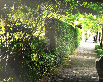 Gossip & Grandeur: A Stroll Through New Orleans' Garden District