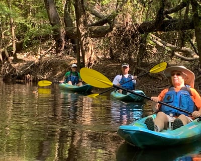 Guided Kayak Tour in Congaree National Park