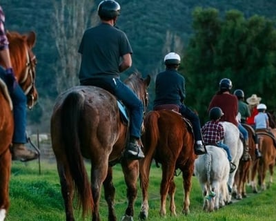 Santa Ynez River 90-Minute Horseback Ride