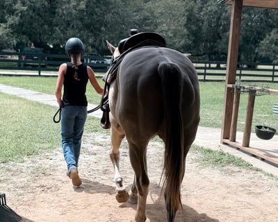 1-Hour Riding Lesson in Sorrento