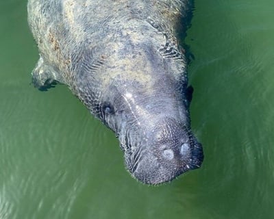 Kayak & Hike Guided Tour in Everglades National Park