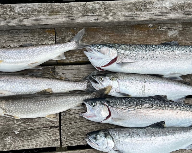 Lake Superior Salmon & Trout Fishing Charter